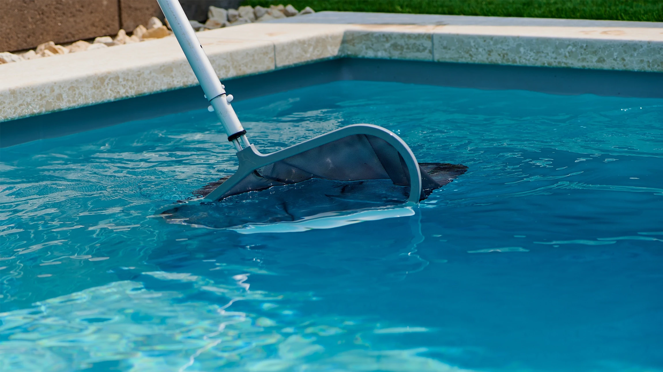 Piscine extérieure avec eau cristalline, entretien en cours par épuisette bleue à manche télescopique capturant débris et feuilles mortes