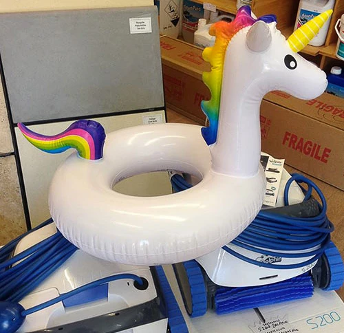 Magasin spécialisé en équipements piscine avec robots nettoyeurs automatiques Zodiac exposés sur moquette verte