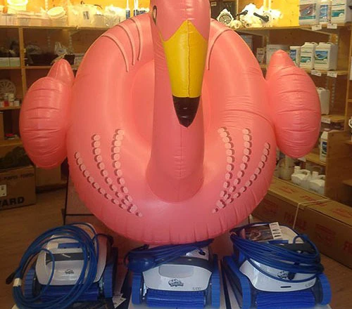 Magasin d'équipements de piscine avec présentoir d'accessoires aquatiques